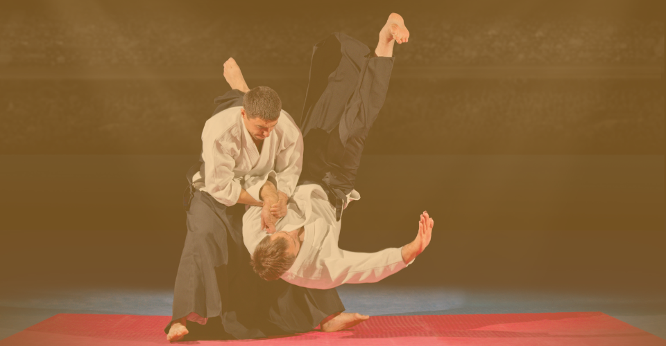 https://eivienature.fr/wp-content/uploads/2024/05/SEO_AIKIDO.png